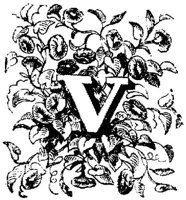 VSI006V.JPG