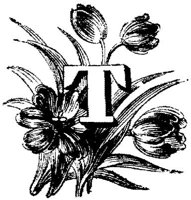 VSI006T.JPG