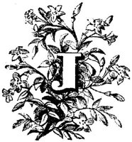 VSI006J.JPG