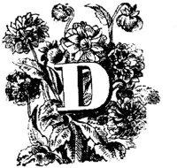 VSI006D.JPG