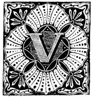 VSI005V.JPG