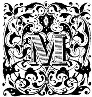 VSI005M.JPG