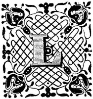 VSI005L.JPG