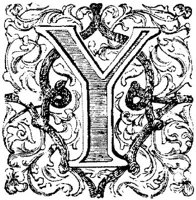 VSI004Y.JPG
