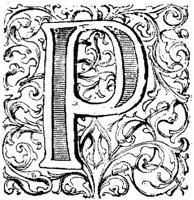 VSI004P.JPG