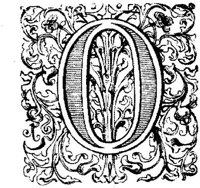VSI004O.JPG