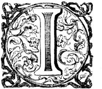 VSI004I.JPG