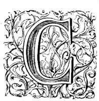 VSI004C.JPG