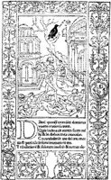 DDW129A.JPG