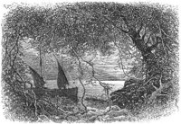 GRAY1442.jpg