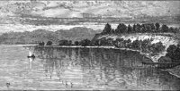GRAY1435.jpg