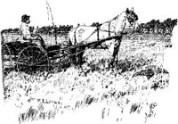 HDC116C.JPG
