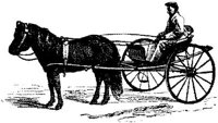 HDC114E.JPG