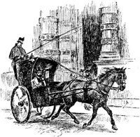 HDC113G.JPG