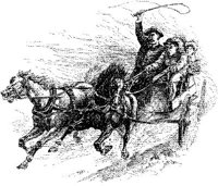 HDC113D.JPG