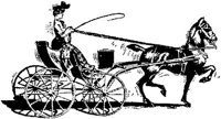 HDC113C.JPG
