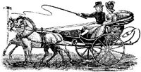 HDC113A.JPG