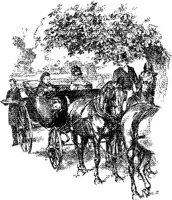 HDC112F.JPG