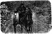 HDC111D.JPG