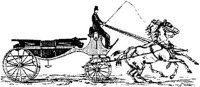 HDC110A.JPG