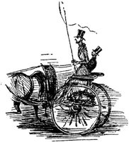 HDC101D.JPG