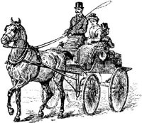 HDC098C.JPG
