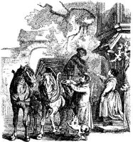 HDC098B.JPG