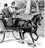 HDC098A.JPG