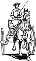 HDC095D.JPG