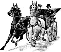 HDC092B.JPG