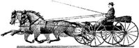 HDC090D.JPG