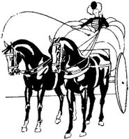 HDC090A.JPG