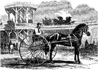 HDC059C.JPG