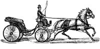EAC079E.JPG