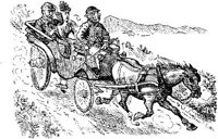 HVS101C.JPG