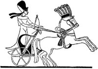 HDC122D.JPG