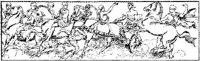 HDC122C.JPG