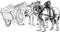 HDC119C.JPG