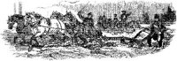 HDC118C.JPG
