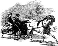HDC117C.JPG