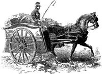 HDC105F.JPG