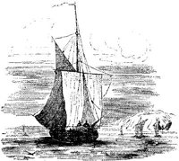 VSI090D.JPG