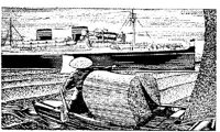 TVA049E.JPG