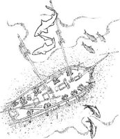 SHI036A.JPG