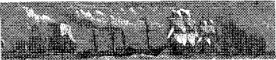 PMI207A.JPG