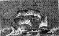 PMI205C.JPG