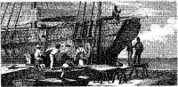 PMI186B.JPG