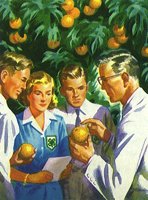 611943.JPG