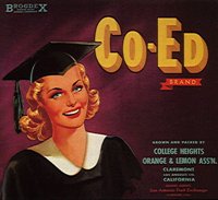 505029.JPG