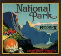 407134.JPG